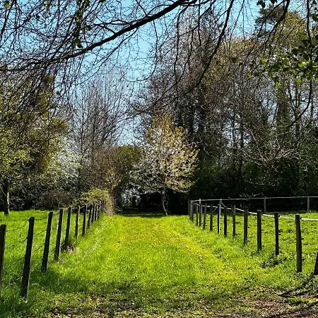 乡村民宿 Vesqueville *