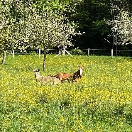 乡村民宿 Vesqueville La Hoguette