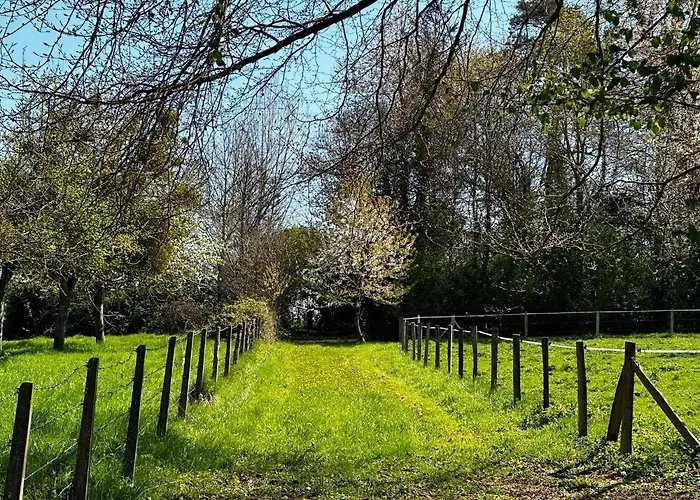 乡村民宿 Vesqueville *