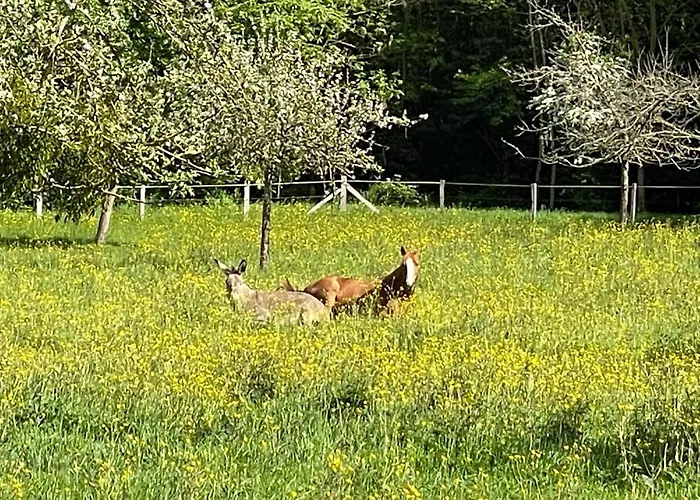 乡村民宿 Vesqueville La Hoguette