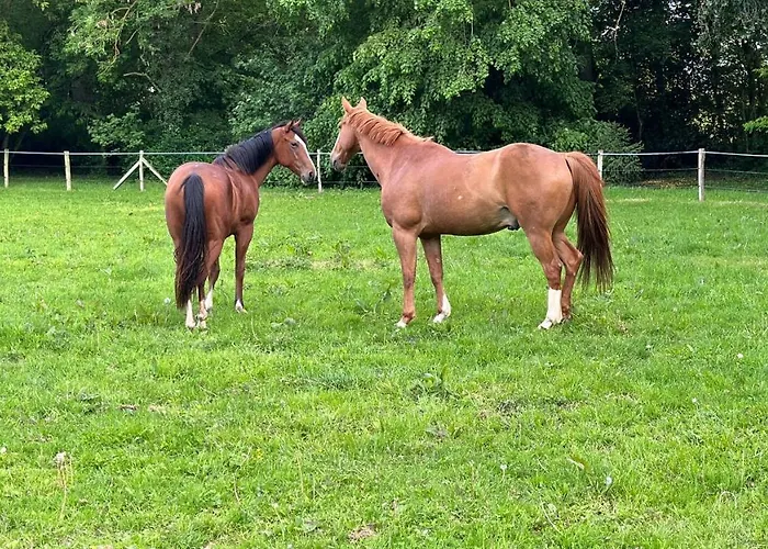 Vesqueville La Hoguette